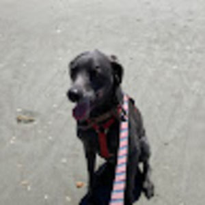 Meet your Posher, Chloe